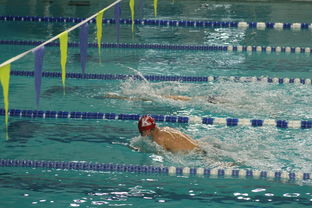 国际游泳精英赛中国队多人破纪录，国际游泳冠军系列赛